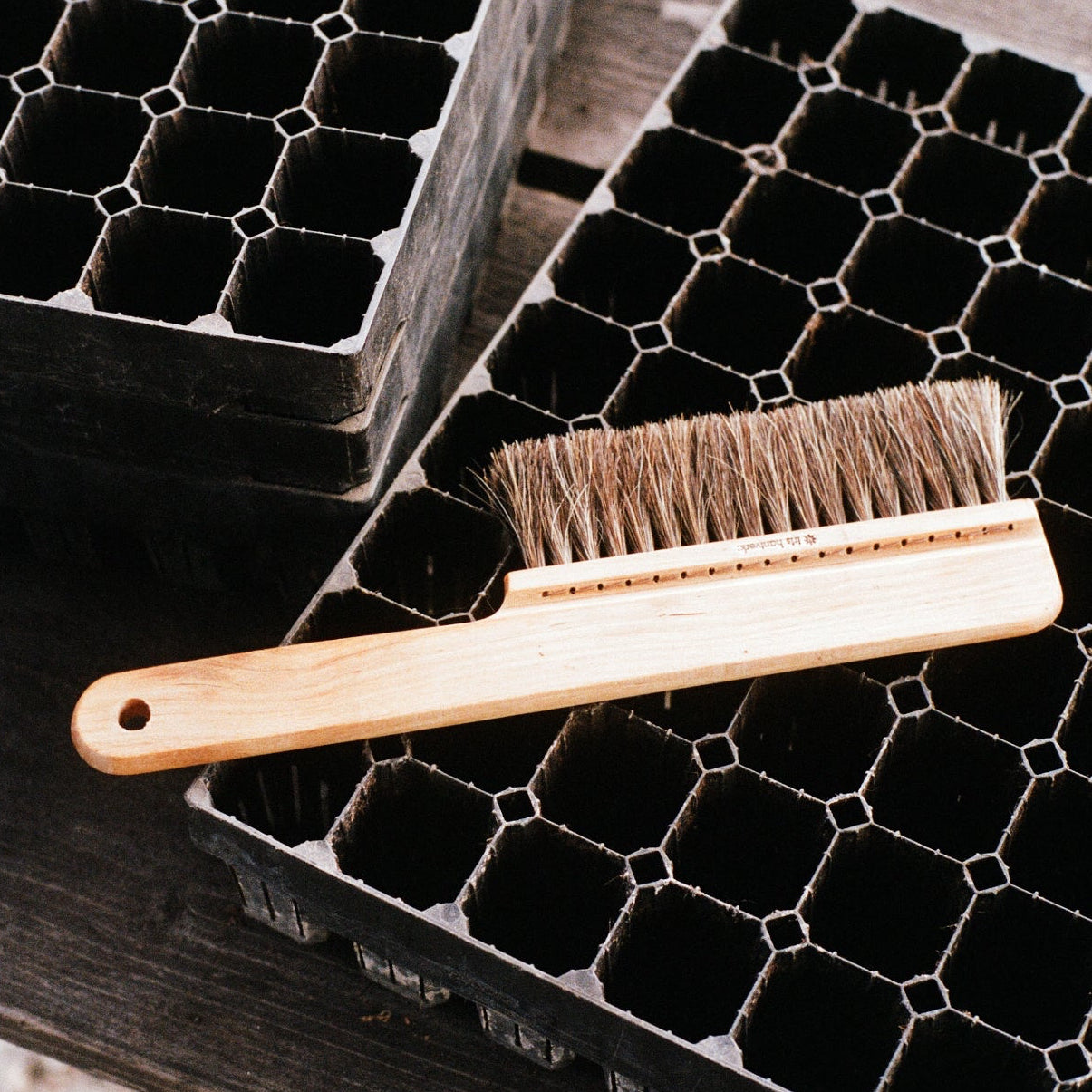 Jordborste Iris Hantverk