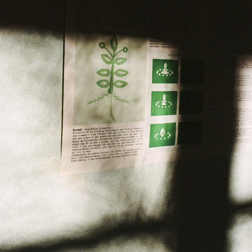 Väggkonst: Om ogräs