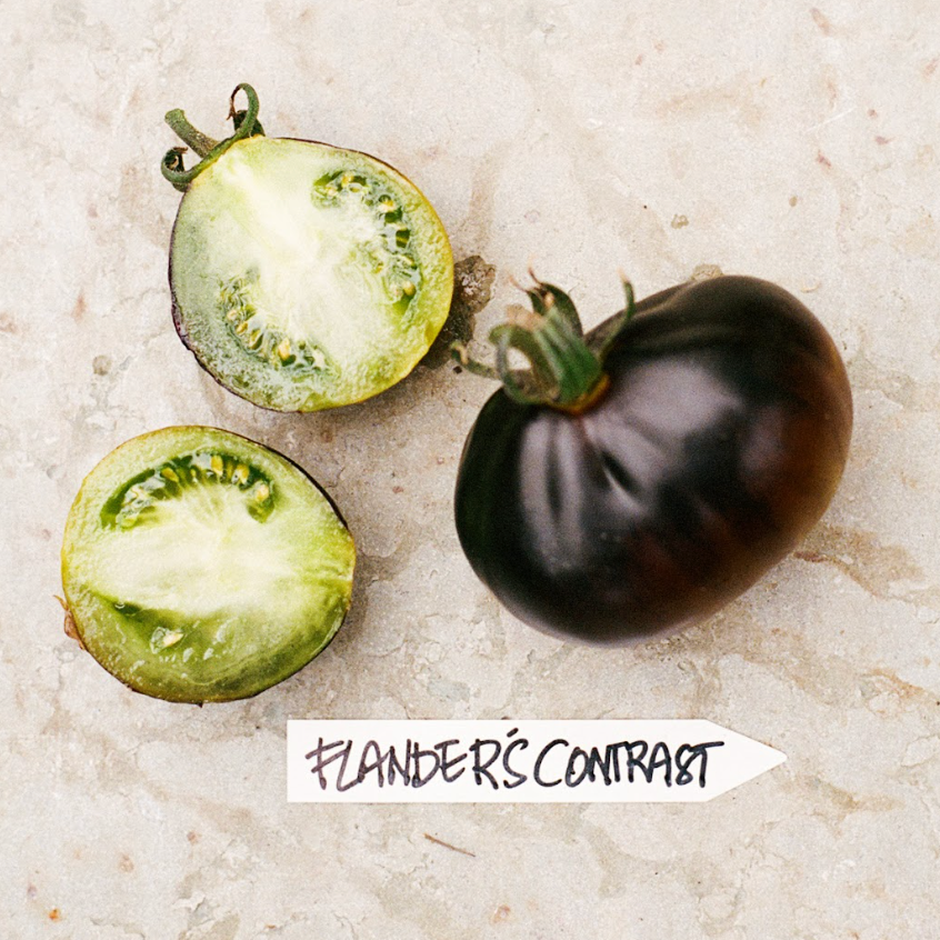 Flander's Contrast, frö + mykorrhiza