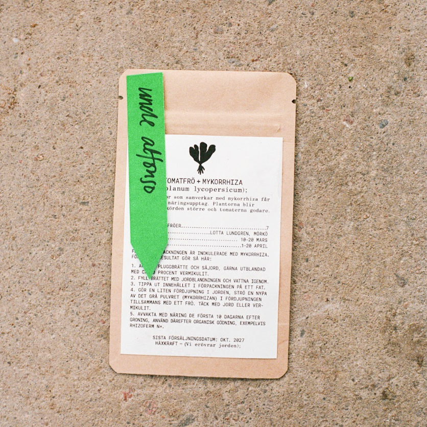 Uncle Alfonso, frö + mykorrhiza