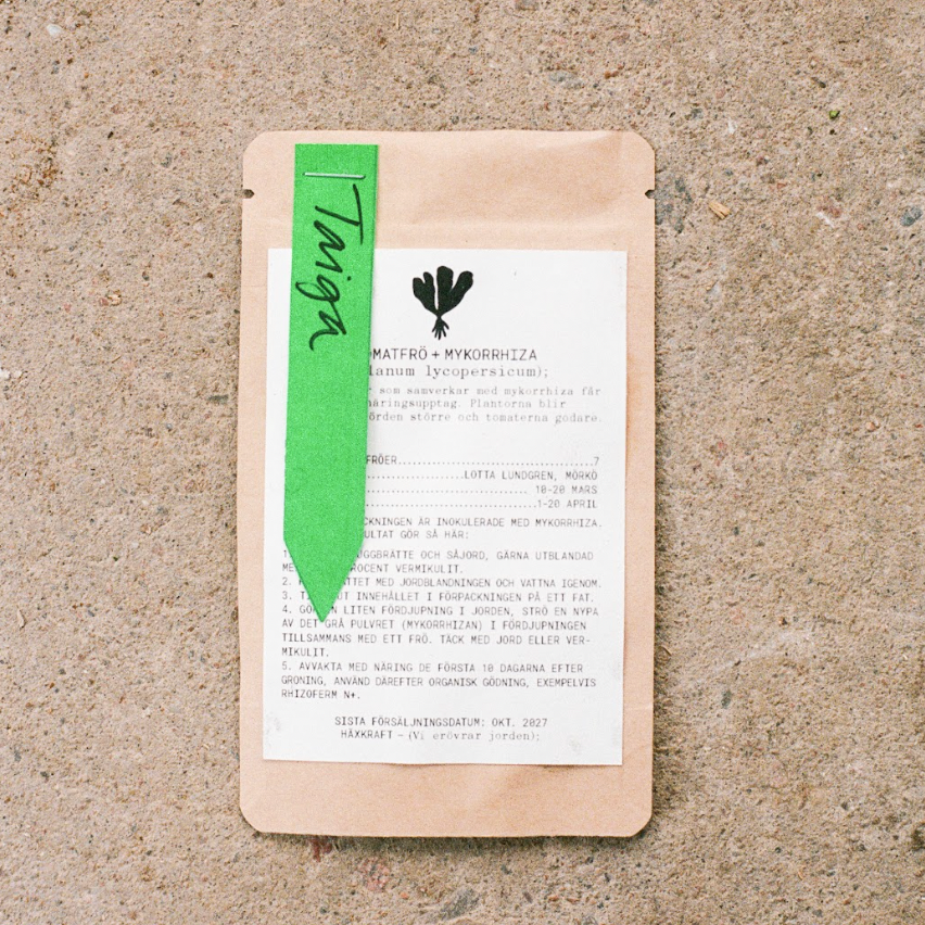 Taiga, frö + mykorrhiza