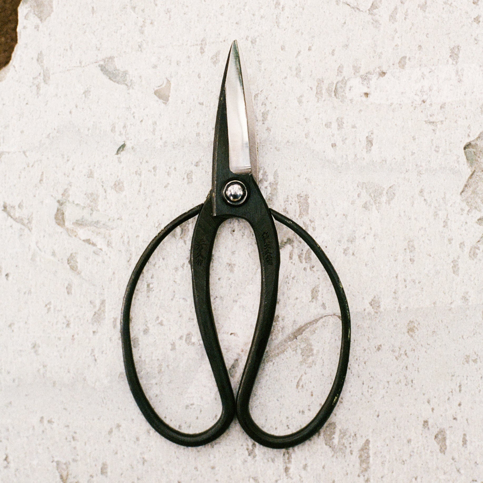 TRÄDGÅRDSSAX TOYAMA HAMONO