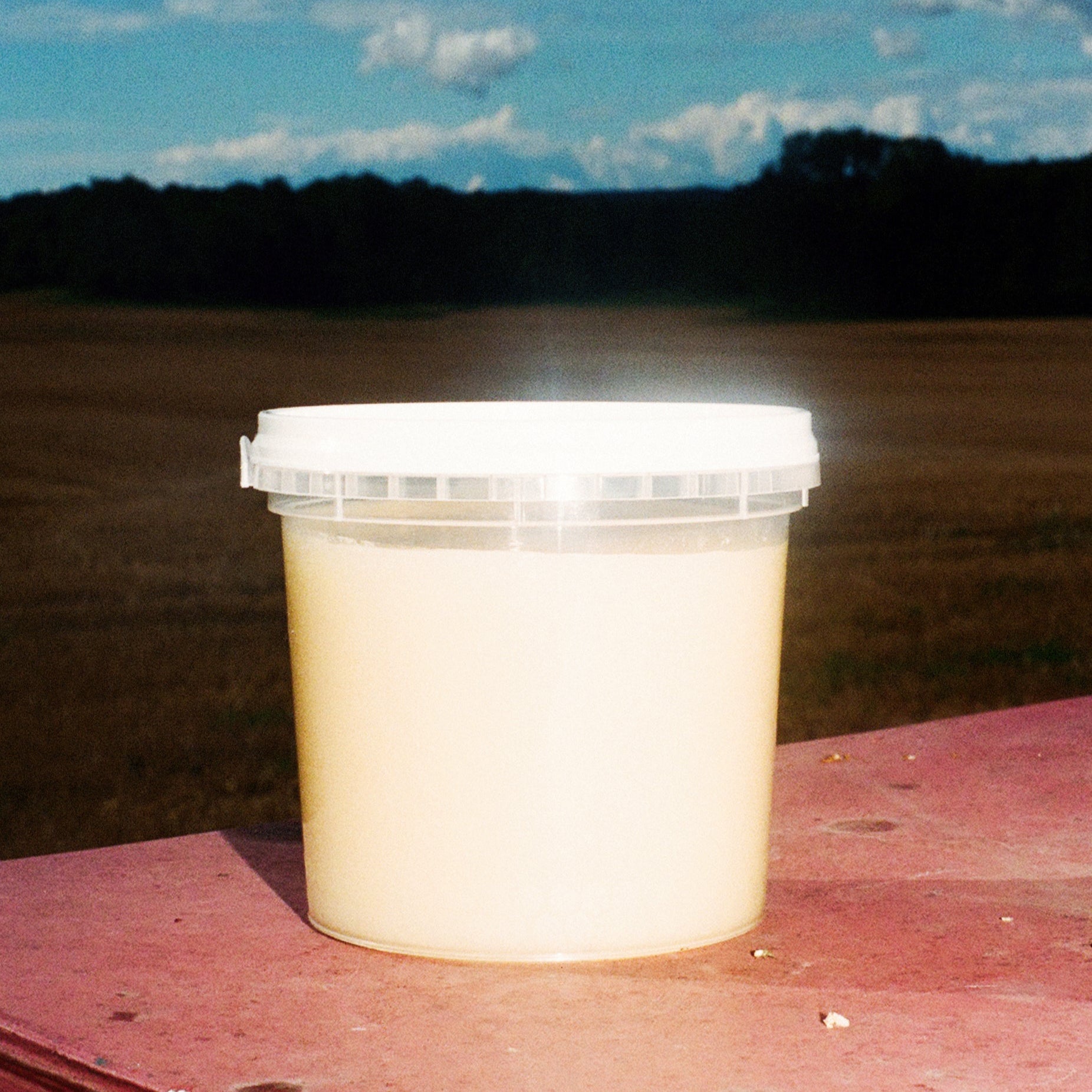 FÖRSOMMARHONUNG C/O MÖRKÖ